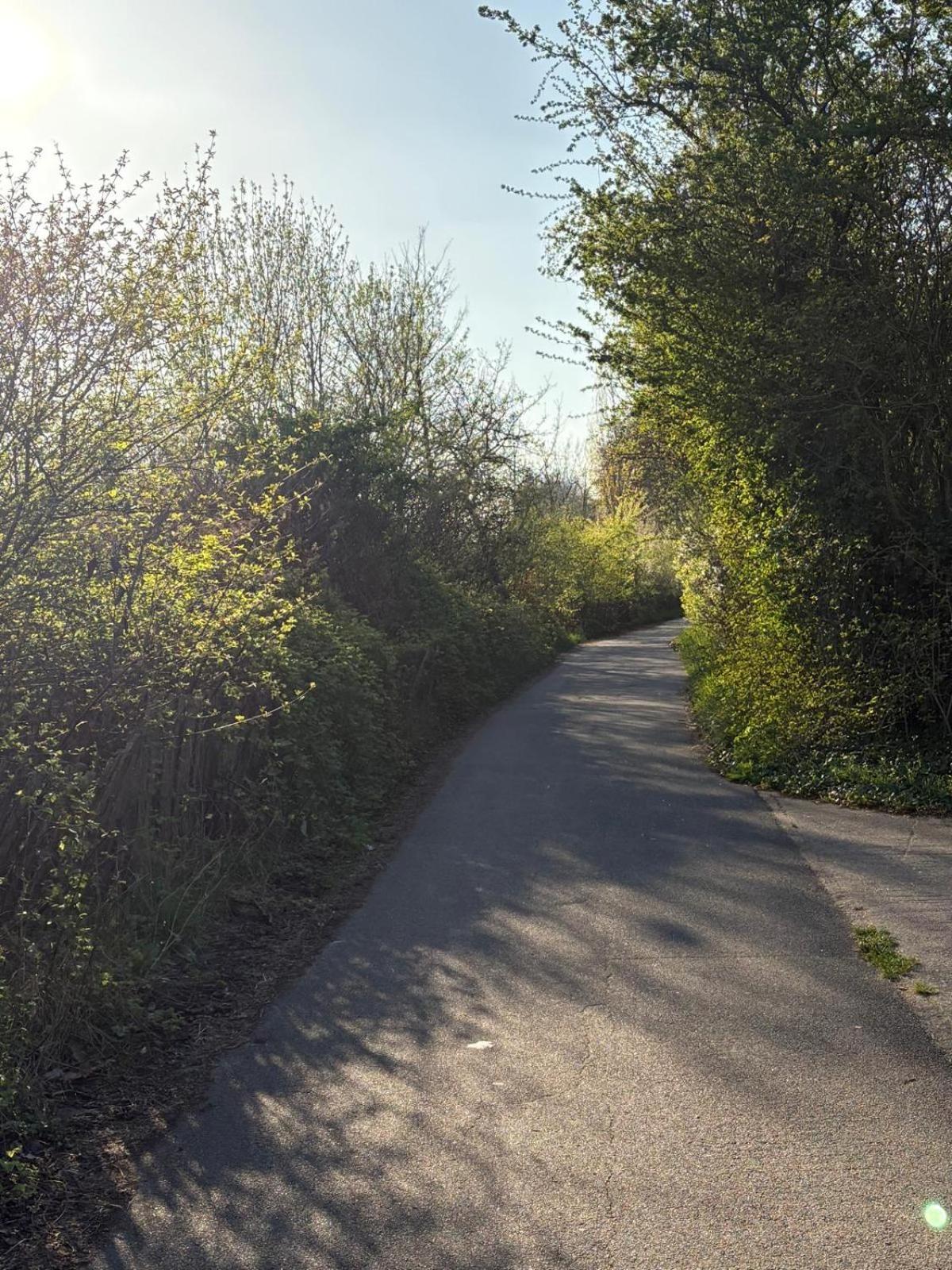 Escale-Marne Fr - 202 - Free Parking - Free Luggage Storage - All Equipped - Linen Included - Washing Machine - 10Mn Walk Metro 8 - Rer A - Panoramic View - From 1 To 14 Guests Maisons-Alfort Eksteriør bilde